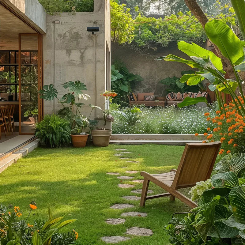 🔥⏰Last Day Promotion - 🌱 Evergreen dwarf grass seed for four seasons🌾 | Create your perfect lawn here🌼