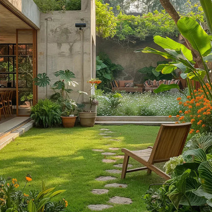 🔥⏰Last Day Promotion - 🌱 Evergreen dwarf grass seed for four seasons🌾 | Create your perfect lawn here🌼