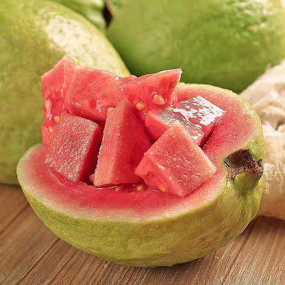 🔥Hot Sale💚 Organic Guava Plant🌱 Easy Grow