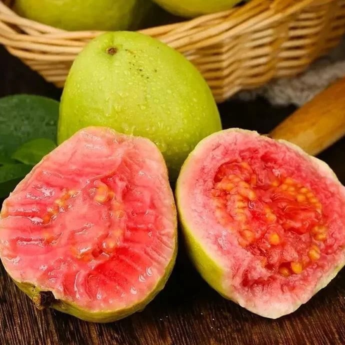 🔥Hot Sale💚 Organic Guava Plant🌱 Easy Grow