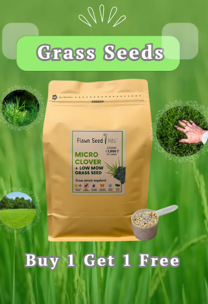 🔥7 Days Germination🌱 Evergreen dwarf grass seed for four seasons🌾Create your perfect lawn here