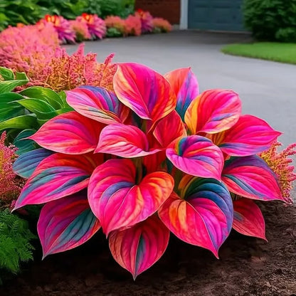 🔥Last day clearance🔥Premiumm Rare Hosta Seeds🌿Shade-Tolerant Plant